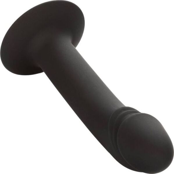 CalExotics Curved Anal Stud -anaalidildo, jossa on kaareva kärki ja imukuppipohja