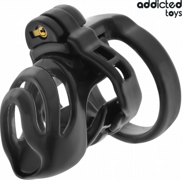 Siveyshäkki Addicted Toys Locked Eternal Lock pohjaosineen, renkaineen ja avaimineen