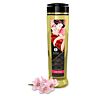 Shunga MASSAGE OIL CHERRY BLOSSOM -hierontaöljy kylmäpuristetuilla luonnonöljyillä
