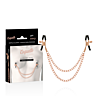 Pinzas BDSM Coquette Chic Desire Fantasy – metalliset nipistimet