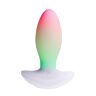 Vibraattori Paradise Pleasure Products The Plug RGB-valoilla