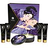 Öljyt SHUNGA KITS Secret Geisha pariskunnille