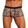 Kalsarit Exposed ENH SHORT LEOPARD LAC