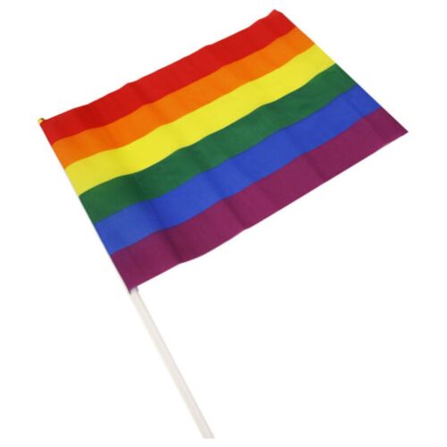 Banderín PRIDE 43 x 31 cm | Värikäs juhlakoristus