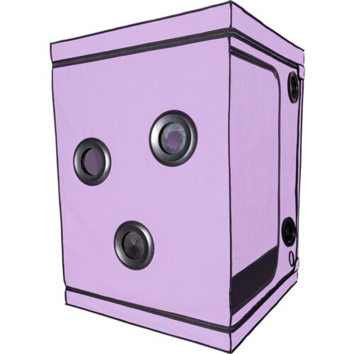 BDSM-kabinetti SECRET DOME SCANDALE täydellisillä tarvikkeilla