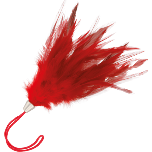 Pluma Stimulaattori DARKNESS 20 cm